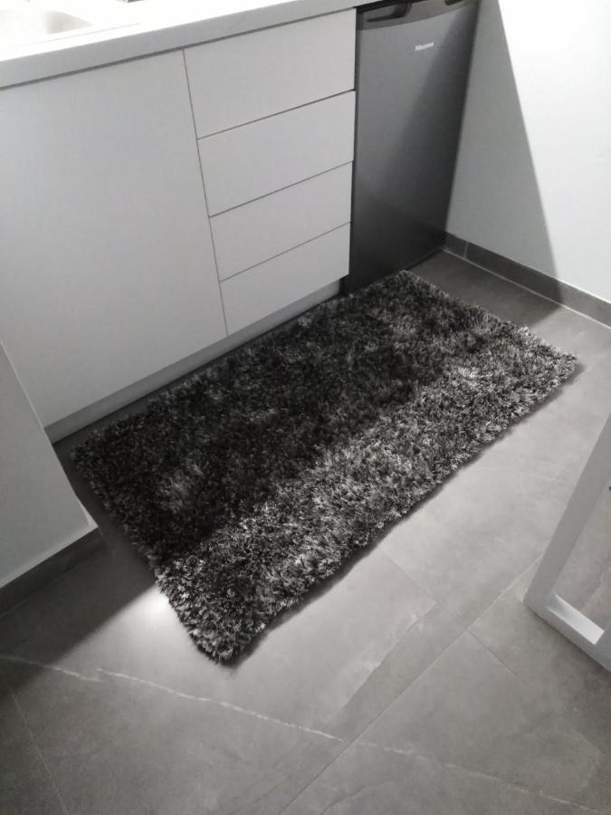 Syntagma Contemporary Apartment 雅典 外观 照片